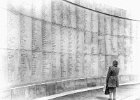 Steve Dorey - National Memorial Arboretum